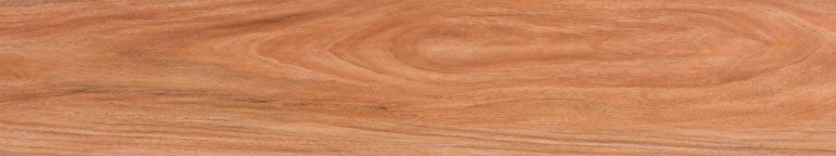 Teak Cognac