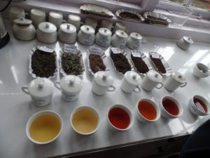 Sorts of Nilgiri Tea